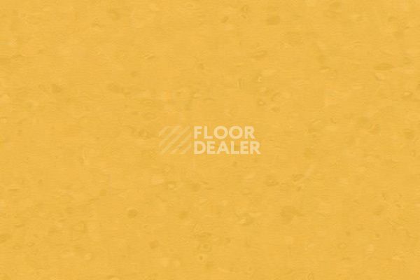 Линолеум Forbo Sphera Element 50054 amber фото 1 | FLOORDEALER